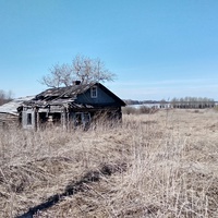 Разрушенный дом в д. Борково