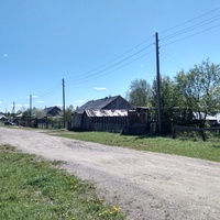 улица в д. Янишево