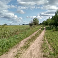 полевая дорога в д. Ялосарь