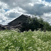 разрушенный дом в д. Карповская