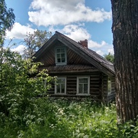 нежилой дом в д. Кузьминка