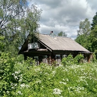 заброшенный дом в д. Кузьминка