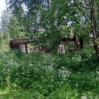 разрушенный дом д. Кузьминка