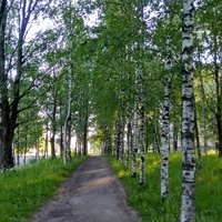 парк в Вытегре