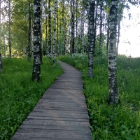 парк в Вытегре