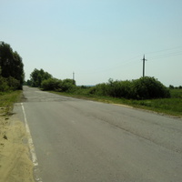 Дорога в село Терехово