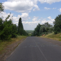 Спуск в село з боку Шполи.