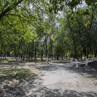 Парк Маяковского.