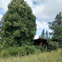развалины дома в д. Дыроватово