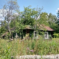 разрушенный дом в д. Маклаково