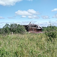разрушенный дом в д. Мишутино