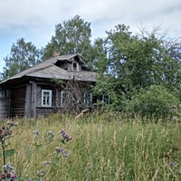 нежилой дом в д. Маркашово
