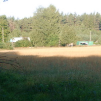 Вид на деревню с опушки леса