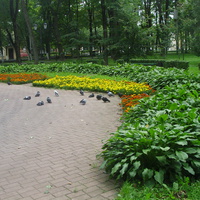 В городском саду им. М.И. Глинки (старинное название - парк Блонье)