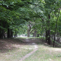 Фрагмент парка "Маньковичи"