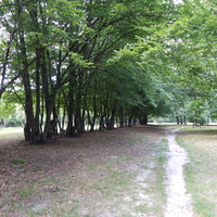 Фрагмент парка "Маньковичи"