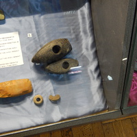 Каменные топоры (экспонаты городского краеведческого музея)