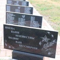 Братская могила 678 воинов.