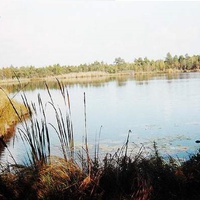 Озеро Удебное (5,5 км юго-западнее поселка Черусти) Сентябрь 1998 г.