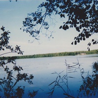 Озеро Воймежное (3 км западнее поселка Черусти) Август 1997г.