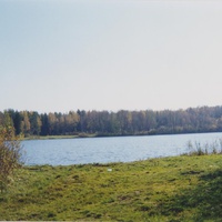 Озеро Озерецкое (0,5 км  южнее г. Рошаль) 5 X. 1999г.