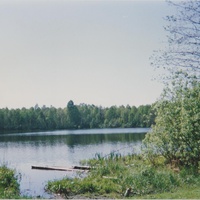 Озеро Пиявочное (3,2 км юго-западнее г.Рошаль) 21. V. 1995г.