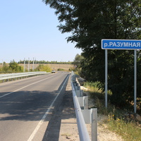 Мост через реку Разумную.