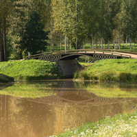 Деревянный мост