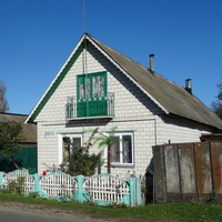 дом в деревне Прибытки