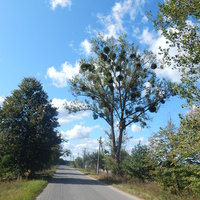 Дорога к деревне со стороны д.Искра