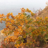 Осень в бухте Андреевская