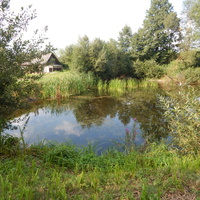 В огороде одного деревенского дома есть естественный пруд
