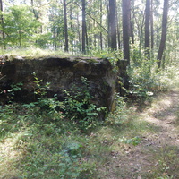 В лесу недалеко от деревни сохранился большой бетонный дот.