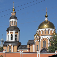 Купола  Алексиевского монастыря