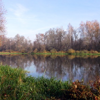 Река  Березина у д.Копча.