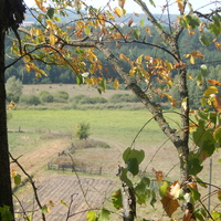 Вид с Юровичских холмов на сельские огороды по улице Видоличи.