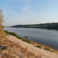 Река Припять вблизи деревни Юровичи.