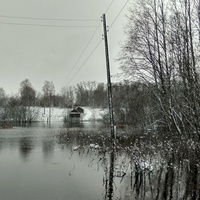 разлив реки в ноябре 2019 года в д. Новинка