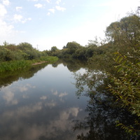 Река Ясельда вблизи деревни Мерчицы.