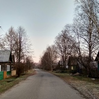 Улица в д. Степачево