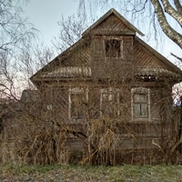 Нежилой дом в д. Степачево