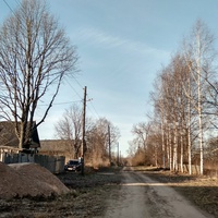 улица в д. Грязная Дуброва