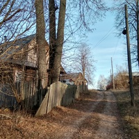 улица в д. Малая Дубровочка