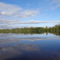 Озеро Опаринское, Мошенской район, Новгородской области. Отражение.