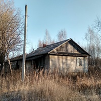нежилой дом в д. Дубровка
