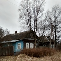 деревенские дома в Новинках