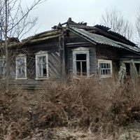 разрушенный дом в д. Новинки