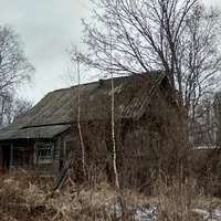 нежилой дом в д. Новинки