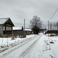 улица в д. Данилов Починок