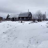 деревенский дом в д. Данилов Починок